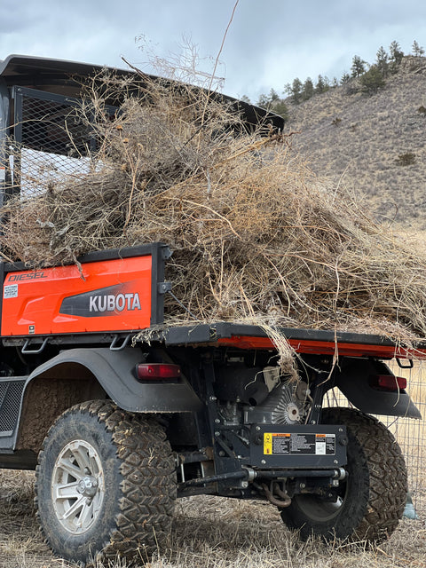 Spring Cleaning at the Ranch