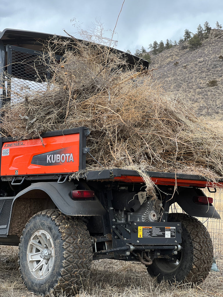 Spring Cleaning at the Ranch
