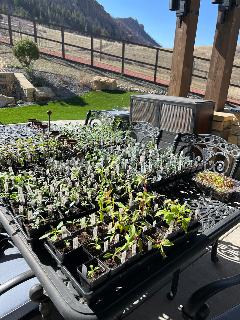 Planting time!