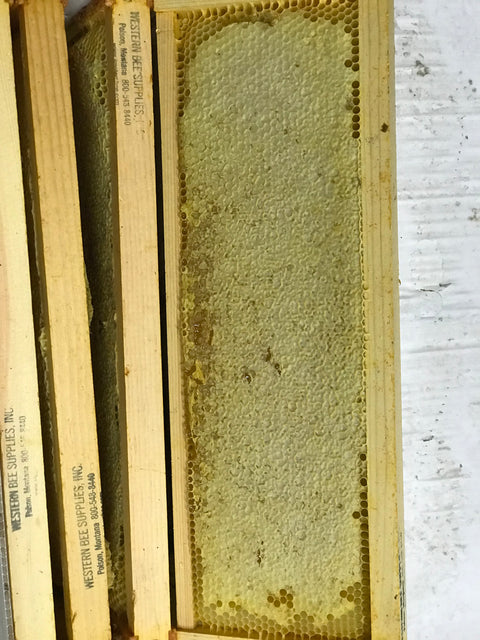 The bees...