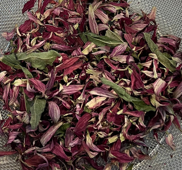 Dried Echinacea Petals .4 oz.